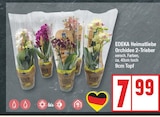 EDEKA Berlin Prospekt mit  im Angebot für 7,99 €