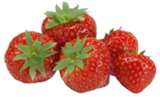 Erdbeeren im E xpress Prospekt Bio Erdbeeren im aktuellen E xpress Prospekt für 3,99 €