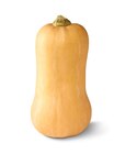 Deutscher Bio-Butternutkürbis im Angebot bei Penny in Homburg Deutscher Bio-Butternutkürbis Angebote von Naturgut bei Penny Homburg für 1,99 €