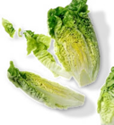 Dtsch. Mini-Romanasalat bei Kaufland im Brehna Prospekt für 0,79 €
