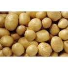 Pomme de terre consommation blanche CARREFOUR spéciale frites dans le catalogue Carrefour Market