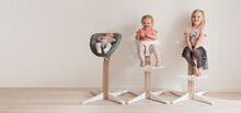 Hochstuhl bei BabyOne in Berlin Hochstuhl im Angebot bei BabyOne Berlin für 219,95 €