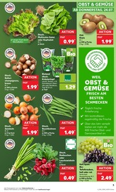 Küchengeräte im Kaufland Prospekt in Schwäbisch Hall Aktueller Kaufland Prospekt mit Küchengeräte, "KNÜLLER", Seite 19