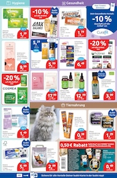 Unterwäsche Angebot & Preis im aktuellen budni Prospekt Unterwäsche Angebot im aktuellen budni Prospekt auf Seite 5