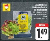 Aktuelles Fränkisches Salatrio mit Wurzelballen Angebot bei EDEKA in Schweinfurt ab 1,49 €