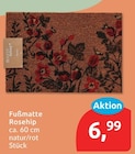 Fußmatte Rosehip für 6,99 € bei budni im Angebot Fußmatte Rosehip im aktuellen budni Prospekt