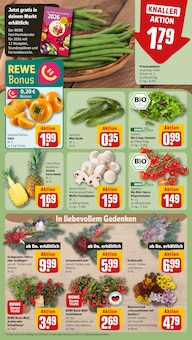 Pflanzen im aktuellen REWE Prospekt (Bielefeld) Pflanzen im REWE Prospekt "Dein Markt" mit 32 Seiten (Bielefeld)