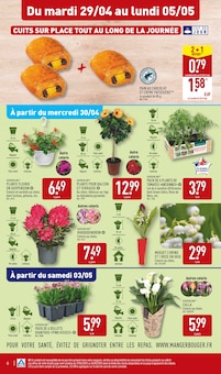 Promo Jardinière De Fleurs dans le catalogue Aldi du moment à la page 9