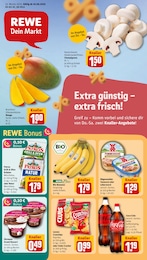 Aktueller REWE Discounter Prospekt fĂŒr Hemmingen 16.06.2025 - 21.06.2025 REWE Prospekt fĂŒr Hemmingen mit 18 Seiten