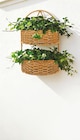 Blumenregal hängend von GARDEN DREAM für 12,99 € bei Netto mit dem Scottie im Angebot Blumenregal hängend von GARDEN DREAM im aktuellen Netto mit dem Scottie Prospekt