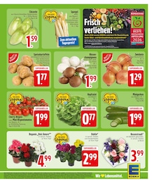 Deko-Pflanzen im EDEKA Prospekt Deko-Pflanzen im EDEKA Prospekt "Wir lieben Lebensmittel." auf Seite 5