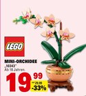 MINI-ORCHIDEE im Angebot bei E center in Mainz MINI-ORCHIDEE Angebote von LEGO bei E center Mainz für 19,99 €