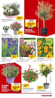 Blumen im toom Baumarkt Prospekt "Respekt, wer's selber macht." mit 24 Seiten (Oldenburg)