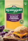 EDEKA Kamminke - irischer Käse Angebot im Prospekt irischer Käse bei EDEKA im Kamminke Prospekt für 1,49 €