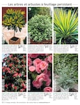 Abri De Jardin Abri De Jardin