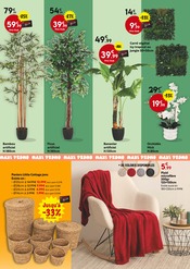 Orchidée Angebote im Prospekt "MAXI ANNIVERSAIRE" von Maxi Bazar Orchidée Angebote im Prospekt "MAXI ANNIVERSAIRE" von Maxi Bazar auf Seite 4