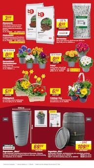Blumen im toom Baumarkt Prospekt "Respekt, wer's selber macht." mit 14 Seiten (Magdeburg)