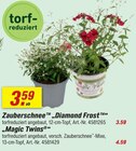 Zauberschnee 'Diamond Frost' Angebote bei toom Baumarkt Dresden für 3,59 €