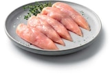 Hähnchen-Innenfilet von Gut Ponholz für 3,69 € bei Netto Marken-Discount im Angebot Hähnchen-Innenfilet von Gut Ponholz im aktuellen Netto Marken-Discount Prospekt