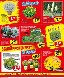 Repo Prospekt der KW 31 "Aktuelle Angebote" Aktueller Repo Prospekt "Aktuelle Angebote" Seite 2 von 12 Seiten