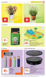 Offre Plantes dans le catalogue Netto du moment à la page 22