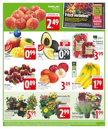 EDEKA Gala im Prospekt EDEKA Gala im Prospekt