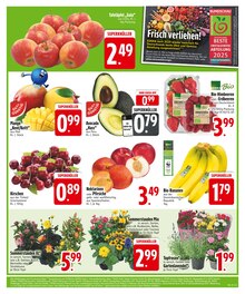 Kirschen im EDEKA Prospekt "Noch kein °Punktesammler? Hier direkt anmelden!" mit 30 Seiten (München)