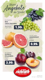 REWE Supermarkt Prospekt der aktuellen Woche mit 23 Seiten, gültig von 07.04.2026 bis 11.04.2026, in Erftstadt und Umgebung Aktueller REWE Supermarkt Prospekt in Erftstadt und Umgebung, "Dein Markt" mit 23 Seiten, 07.04.2026 - 11.04.2026