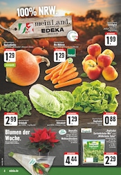 Aktueller EDEKA Prospekt mit Salat, "Aktuelle Angebote", Seite 4