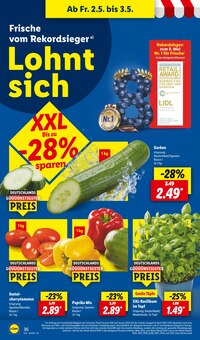 Paprika im aktuellen Lidl Prospekt (Koblenz) Paprika im Lidl Prospekt "LIDL LOHNT SICH" mit 61 Seiten (Koblenz)