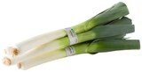 Bio Porree Angebote von REWE Bio bei REWE Halberstadt für 1,99 €