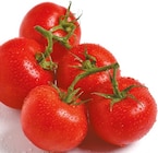 Strauchtomaten im aktuellen Netto mit dem Scottie Prospekt
