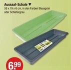 Aussaat-Schale im aktuellen V-Markt Prospekt für 6,99 €