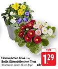 Hornveilchen Trios im Angebot bei E center in Singen Hornveilchen Trios Angebote bei E center Singen für 1,29 €