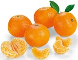 Mandarinen bei REWE im Euerbach Prospekt für 