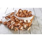 Champignons de Paris bruns FILIÈRE QUALITÉ CARREFOUR en promo chez Carrefour Market Champignons de Paris bruns FILIÈRE QUALITÉ CARREFOUR dans le catalogue Carrefour Market