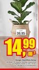 Design-Vinyl-Klick-Belag Angebote bei Scheidt Iserlohn für 14,99 €
