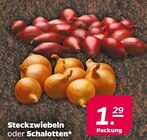 Steckzwiebeln oder Schalotten Angebote bei Netto mit dem Scottie Rostock für 1,29 €