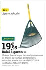 Balai à gazon XL - Leborgne en promo chez Espace Emeraude Balai à gazon XL - Leborgne dans le catalogue Espace Emeraude