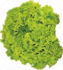 EDEKA Prisdorf - Batavia Salat vom Hof Beckedorf grün Kopf Angebot im Prospekt Batavia Salat vom Hof Beckedorf grün Kopf bei EDEKA im Prisdorf Prospekt für 1,19 €