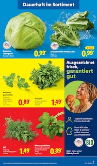 Salat im aktuellen Lidl Prospekt (Duisburg) Salat im Lidl Prospekt "LIDL LOHNT SICH" mit 73 Seiten (Duisburg)