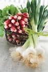 LEGUMES BOTTES - Intermarché à Reims LEGUMES BOTTES en promo chez Intermarché Reims à 2,00 €