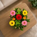 Bouquet C'est l'Automne - FLEUR - Carrefour à Villeurbanne Bouquet C'est l'Automne - FLEUR en promo chez Carrefour Villeurbanne à 9,50 €