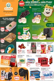 Aktueller GLOBUS Prospekt mit Bier, "Aktuelle Angebote", Seite 1