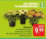 Hortensien Angebote bei Marktkauf Altenburg für 9,99 €