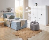 Boxspringbett inkl. Bettkasten oder Kleiderschrank 4-türig von welnova für 399,00 € bei XXXLutz Möbelhäuser im Angebot Boxspringbett inkl. Bettkasten oder Kleiderschrank 4-türig von welnova im aktuellen XXXLutz Möbelhäuser Prospekt