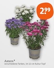 Astern von  im aktuellen tegut Prospekt für 2,99 €
