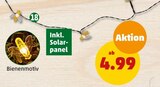 Aktuelles Solarlichterkette BIENE Angebot bei Penny-Markt in Solingen (Klingenstadt) ab 6,99 €
