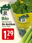 EDEKA Radevormwald - Bio-Basilikum Angebot im Prospekt Bio-Basilikum bei EDEKA im Radevormwald Prospekt für 1,29 €