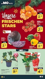 Aktueller Netto mit dem Scottie Prospekt mit Tomaten, "Günstig. Besser. Für Dich.", Seite 2